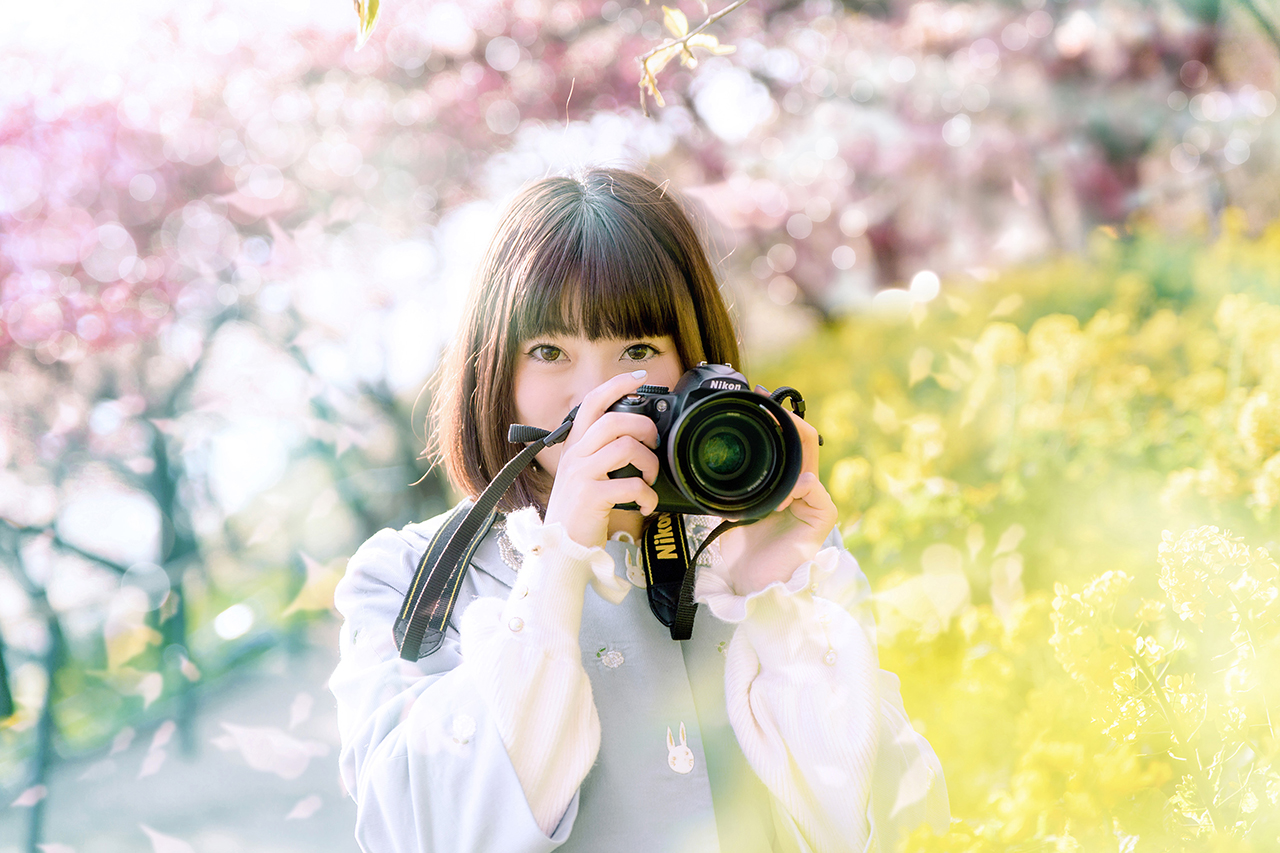 カメラと菜の花、桜